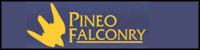 Pineo Falconry